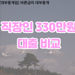 직장인 월변330만원대출 소액330만원대출 개인돈330만원 비대면330만원