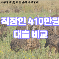 직장인 월변410만원대출 소액410만원대출 개인돈410만원 비대면410만원