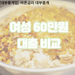 여성 월변60만원대출 소액60만원대출 개인돈60만원 비대면60만원