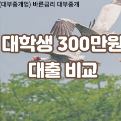 대학생 월변300만원대출 소액300만원대출 개인돈300만원 비대면300만원