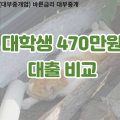 대학생 월변470만원대출 소액470만원대출 개인돈470만원 비대면470만원