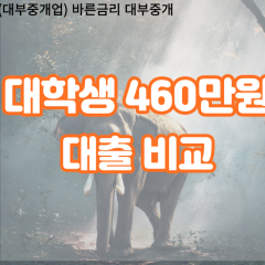 대학생 월변460만원대출 소액460만원대출 개인돈460만원 비대면460만원