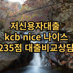 저신용자대출 kcb235점 저신용소액대출 nice235점 저신용비대면대출 나이스235점 신용대출가능한곳