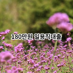 180만원 일용직대출 급전 당일 소액 일수 월변