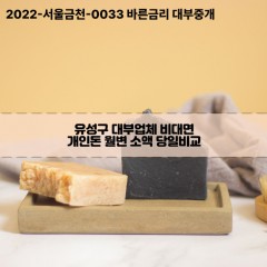 유성구대부업체 유성구비대면대부업체 대부업체개인돈 유성구월변대부업체 유성구소액대부업체