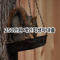 250만원 개인회생자대출 급전 당일 소액 일수 월변