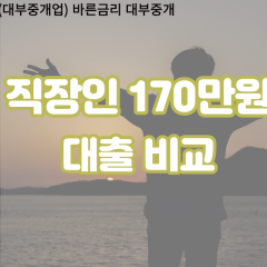 직장인 월변170만원대출 소액170만원대출 개인돈170만원 비대면170만원