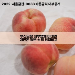 부산강서구대부업체 부산강서구비대면대부업체 대부업체개인돈 부산강서구월변대부업체 부산강서구소액대부업체