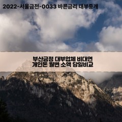 부산금정대부업체 부산금정비대면대부업체 대부업체개인돈 부산금정월변대부업체 부산금정소액대부업체