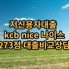 저신용자대출 kcb273점 저신용소액대출 nice273점 저신용비대면대출 나이스273점 신용대출비교상담