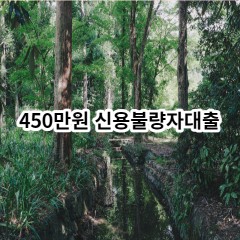 450만원 신용불량자대출 급전 당일 소액 일수 월변