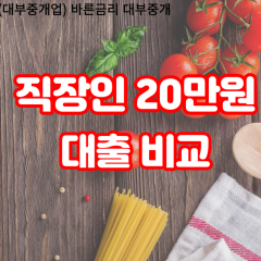 직장인 월변20만원대출 소액20만원대출 개인돈20만원 비대면20만원