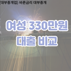 여성 월변330만원대출 소액330만원대출 개인돈330만원 비대면330만원