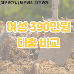 여성 월변390만원대출 소액390만원대출 개인돈390만원 비대면390만원