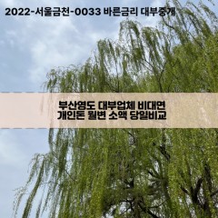 부산영도대부업체 부산영도비대면대부업체 대부업체개인돈 부산영도월변대부업체 부산영도소액대부업체