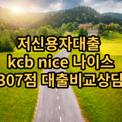 저신용자대출 kcb307점 저신용소액대출 nice307점 저신용비대면대출 나이스307점 신용대출비교상담