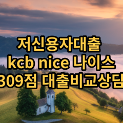 저신용자대출 kcb309점 저신용소액대출 nice309점 저신용비대면대출 나이스309점 신용대출비교상담