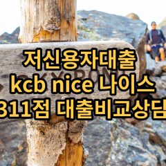 저신용자대출 kcb311점 저신용소액대출 nice311점 저신용비대면대출 나이스311점 신용대출비교상담