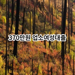 370만원 업소여성대출 급전 당일 소액 일수 월변