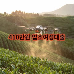 410만원 업소여성대출 급전 당일 소액 일수 월변