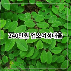 240만원 업소여성대출 급전 당일 소액 일수 월변