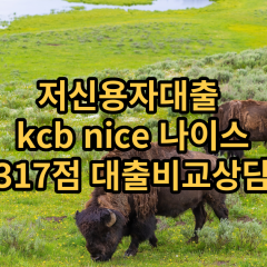 저신용자대출 kcb317점 저신용소액대출 nice317점 저신용비대면대출 나이스317점 신용대출비교상담