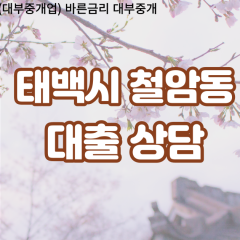 철암동대부업체 철암동비대면대출 태백시대부업체개인돈 철암동월변대부대출 철암동소액대부업체