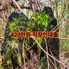 420만원 직장인대출 급전 당일 소액 일수 월변