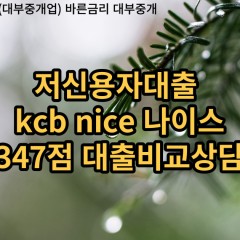 저신용자대출 kcb347점 저신용소액대출 nice347점 저신용비대면대출 나이스347점 신용대출비교상담