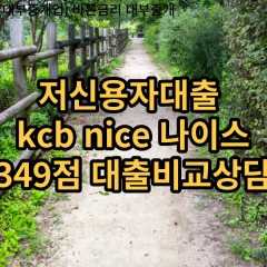 저신용자대출 kcb349점 저신용소액대출 nice349점 저신용비대면대출 나이스349점 신용대출비교상담