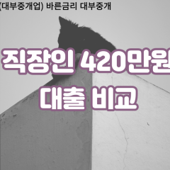 직장인 월변420만원대출 소액420만원대출 개인돈420만원 비대면420만원