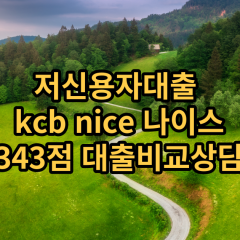 저신용자대출 kcb343점 저신용소액대출 nice343점 저신용비대면대출 나이스343점 신용대출비교상담