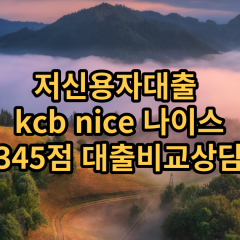 저신용자대출 kcb344점 저신용소액대출 nice344점 저신용비대면대출 나이스344점 신용대출비교상담