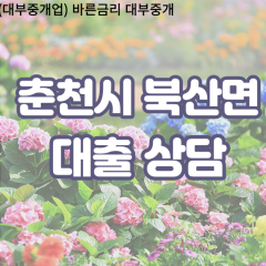 북산면대부업체 북산면비대면대출 춘천시대부업체개인돈 북산면월변대부대출 북산면소액대부업체