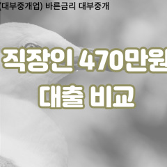 직장인 월변470만원대출 소액470만원대출 개인돈470만원 비대면470만원