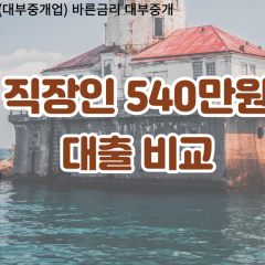 직장인 월변540만원대출 소액540만원대출 개인돈540만원 비대면540만원