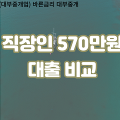 직장인 월변570만원대출 소액570만원대출 개인돈570만원 비대면570만원