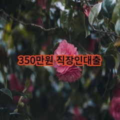 350만원 직장인대출 급전 당일 소액 일수 월변