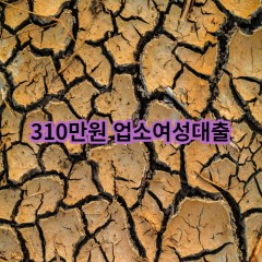 310만원 업소여성대출 급전 당일 소액 일수 월변