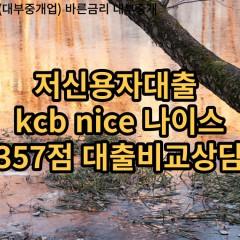 저신용자대출 kcb357점 저신용소액대출 nice357점 저신용비대면대출 나이스357점 신용대출비교상담