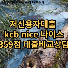 저신용자대출 kcb359점 저신용소액대출 nice359점 저신용비대면대출 나이스359점 신용대출비교상담