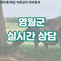 김삿갓면대부업체 남면비대면대출 영월군대부업체개인돈 무릉도원면월변대부대출 북면소액대부업체