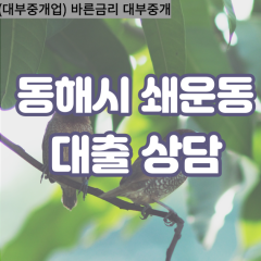 쇄운동대부업체 쇄운동비대면대출 동해시대부업체개인돈 쇄운동월변대부대출 쇄운동소액대부업체