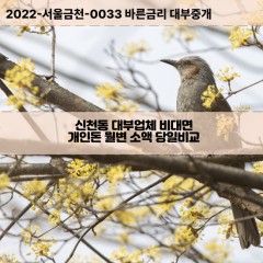 신천동대부대출 신천동비대면대출 송파구대부업체개인돈 신천동월변대부업체 신천동소액월변대출