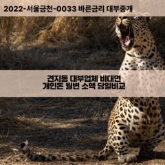 견지동대부대출 견지동비대면대출 종로구대부업체개인돈 견지동월변대부업체 견지동소액월변대출