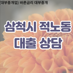 적노동대부업체 적노동비대면대출 삼척시대부업체개인돈 적노동월변대부대출 적노동소액대부업체