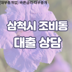 조비동대부업체 조비동비대면대출 삼척시대부업체개인돈 조비동월변대부대출 조비동소액대부업체