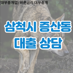 증산동대부업체 증산동비대면대출 삼척시대부업체개인돈 증산동월변대부대출 증산동소액대부업체