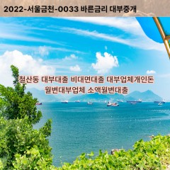 철산동대부대출 철산동비대면대출 과천시대부업체개인돈 철산동월변대부업체 철산동소액월변대출