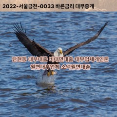 탄현동대부대출 탄현동비대면대출 고양시일산서구대부업체개인돈 탄현동월변대부업체 탄현동소액월변대출